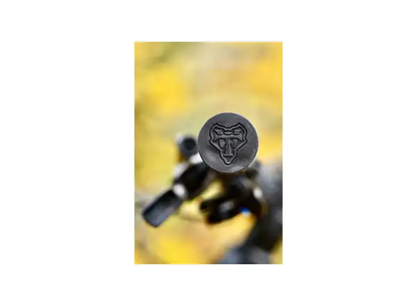 WTB Burr Single Clamp Griffe schwarz