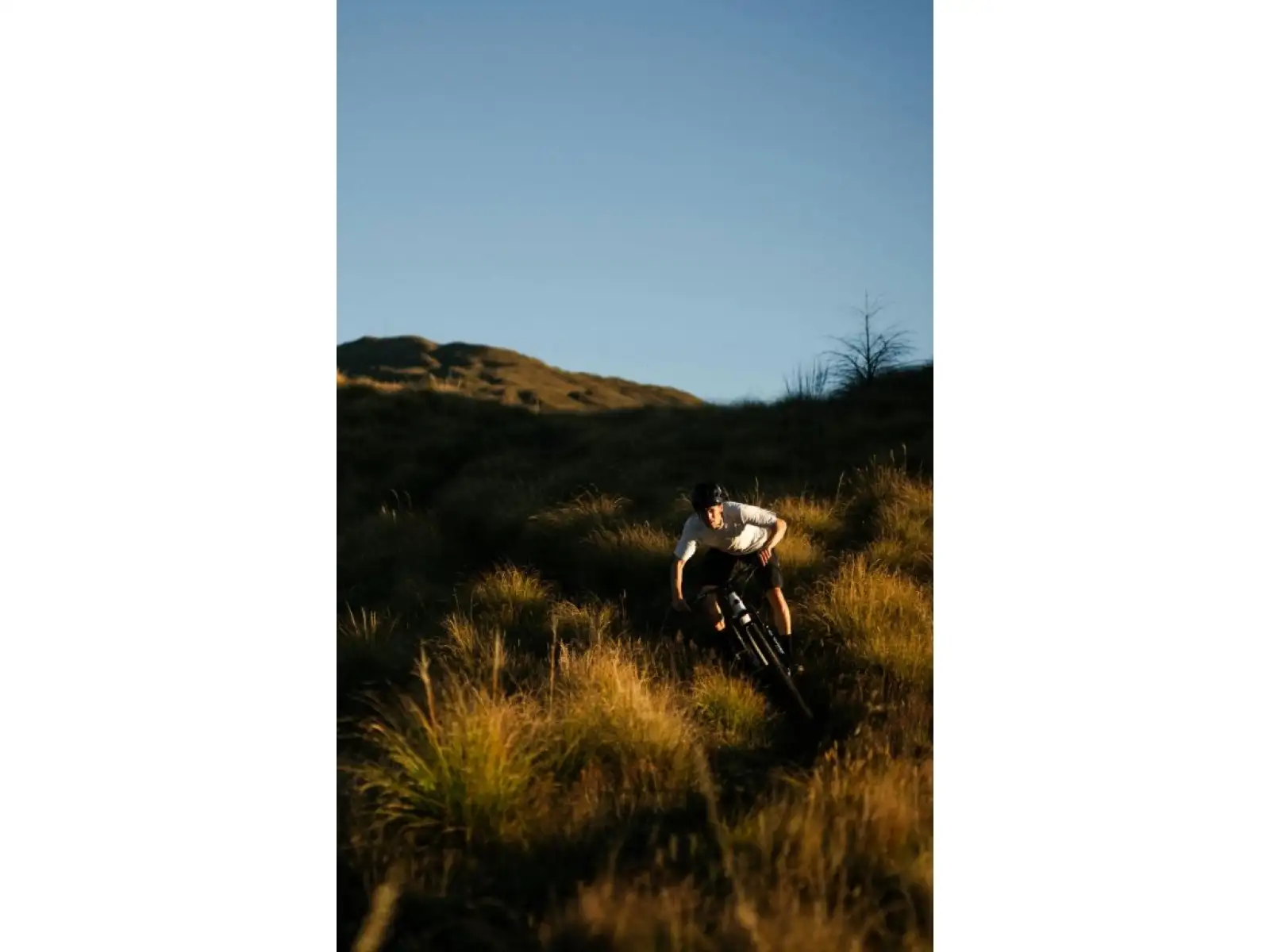 Santa Cruz Tallboy 5 C R Mountainbike Gloss White