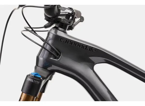 Cannondale Jekkyl 29 Carbon 1 Mountainbike Full-Suspension Graphite