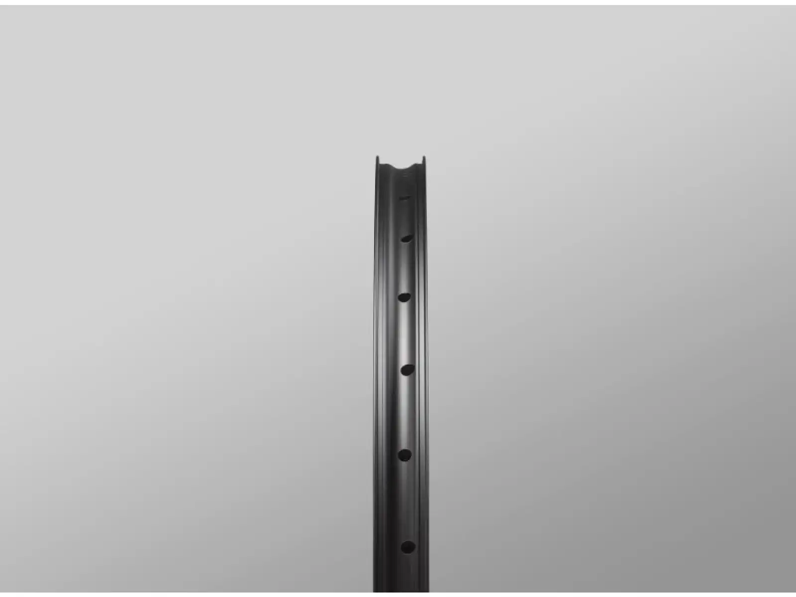 Reserve 30/SL AL6069 DT 350 29" Speichenräder Nuss Microspline