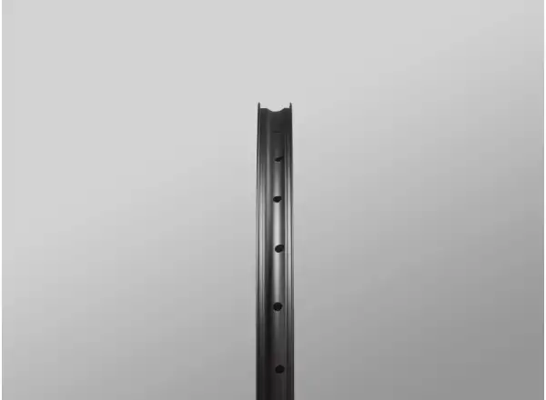 Reserve 30/SL AL6069 DT 350 29" Speichenräder Nuss Microspline