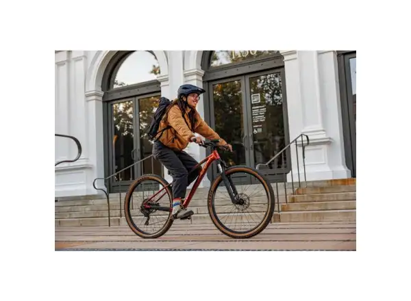 Giant Tempt 29 2 Mountainbike Mars Dust