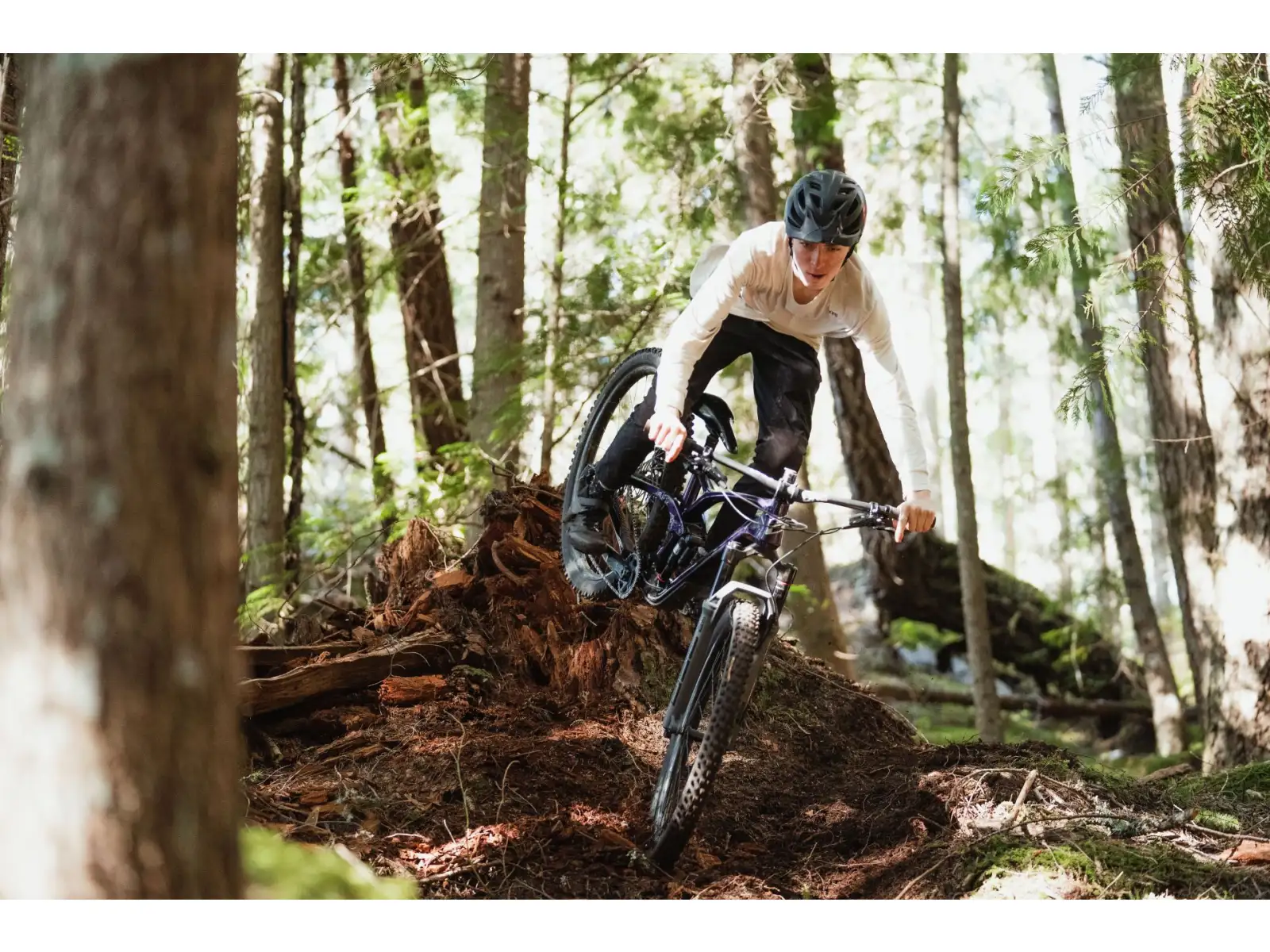 GT Sensor 29 Carbon Elite WGR Mountainbike