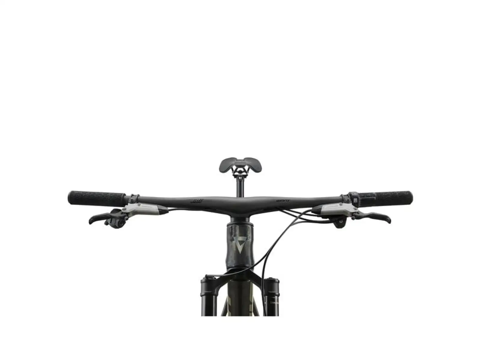 Giant Anthem Advanced 0 vollgefedertes Mountainbike Raw Carbon