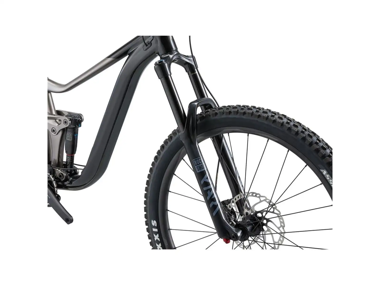 Giant Reign 2 Mountainbike schwarz/metallisch