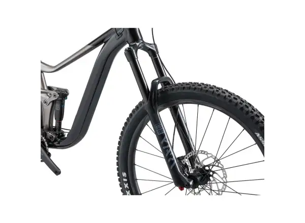Giant Reign 2 Mountainbike schwarz/metallisch