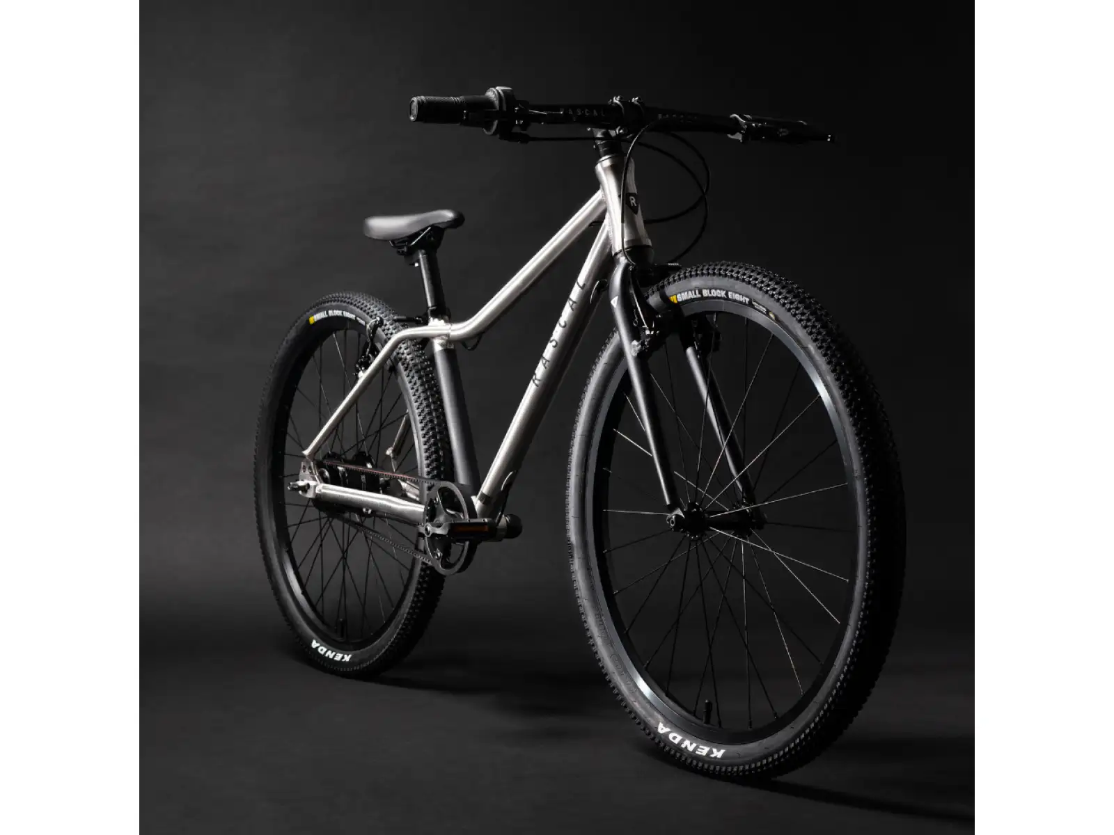 Rascal 24 7 mit Shimano Nexus Kinderfahrrad Titanium