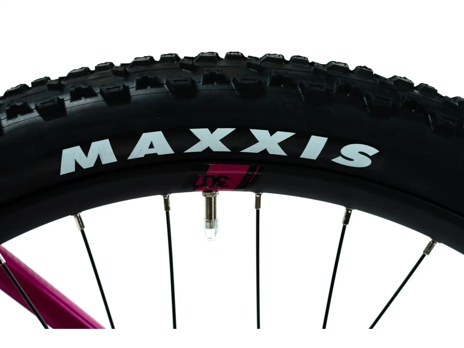 Crussis PAN Guera 10.9-M Elektro-Mountainbike