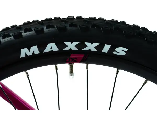 Crussis PAN Guera 10.9-M Elektro-Mountainbike