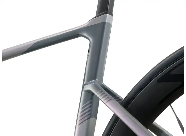Giant Propel Advanced Pro-DA Rennrad Supernova Grey