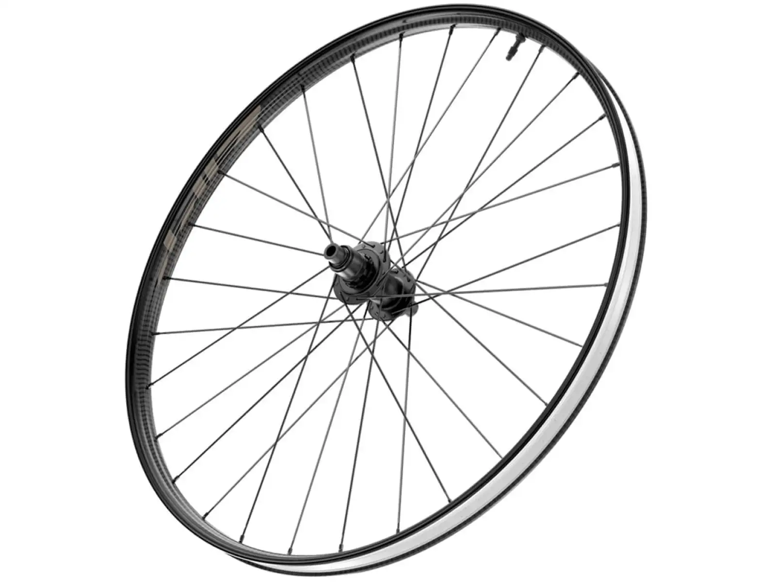 Zipp 101 XPLR Carbon Disc TL CL Hinterrad 12x142 mm durchSteckachse Sandsturm