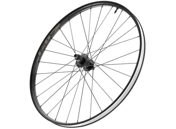 Zipp 101 XPLR Carbon Disc TL CL Hinterrad 12x142 mm durchSteckachse Sandsturm
