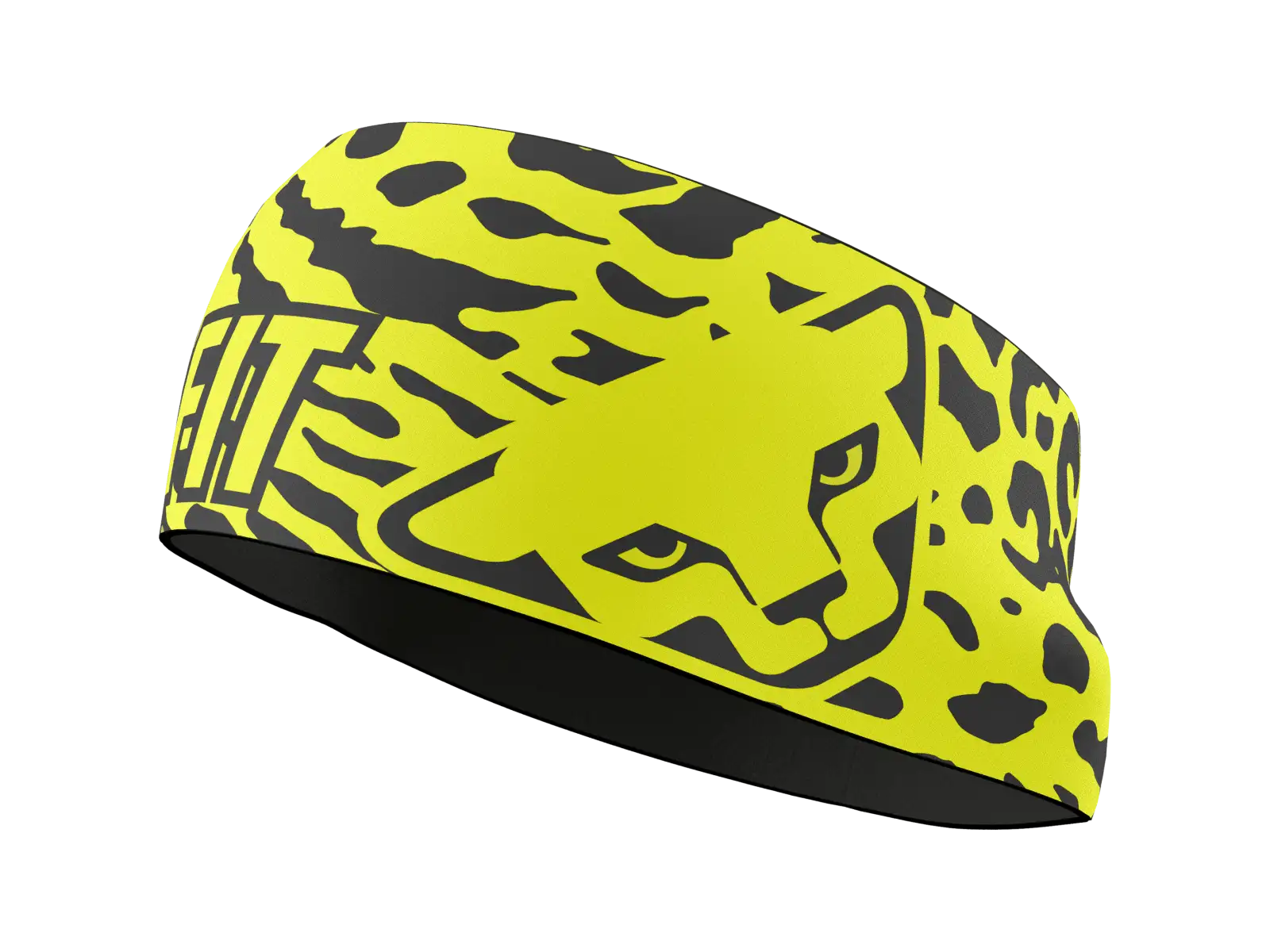 Dynafit Graphic Performance Stirnband Cabana/Gradient