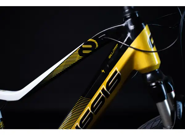 Crussis OLI Cross 8.8-S Cross-E-Bike