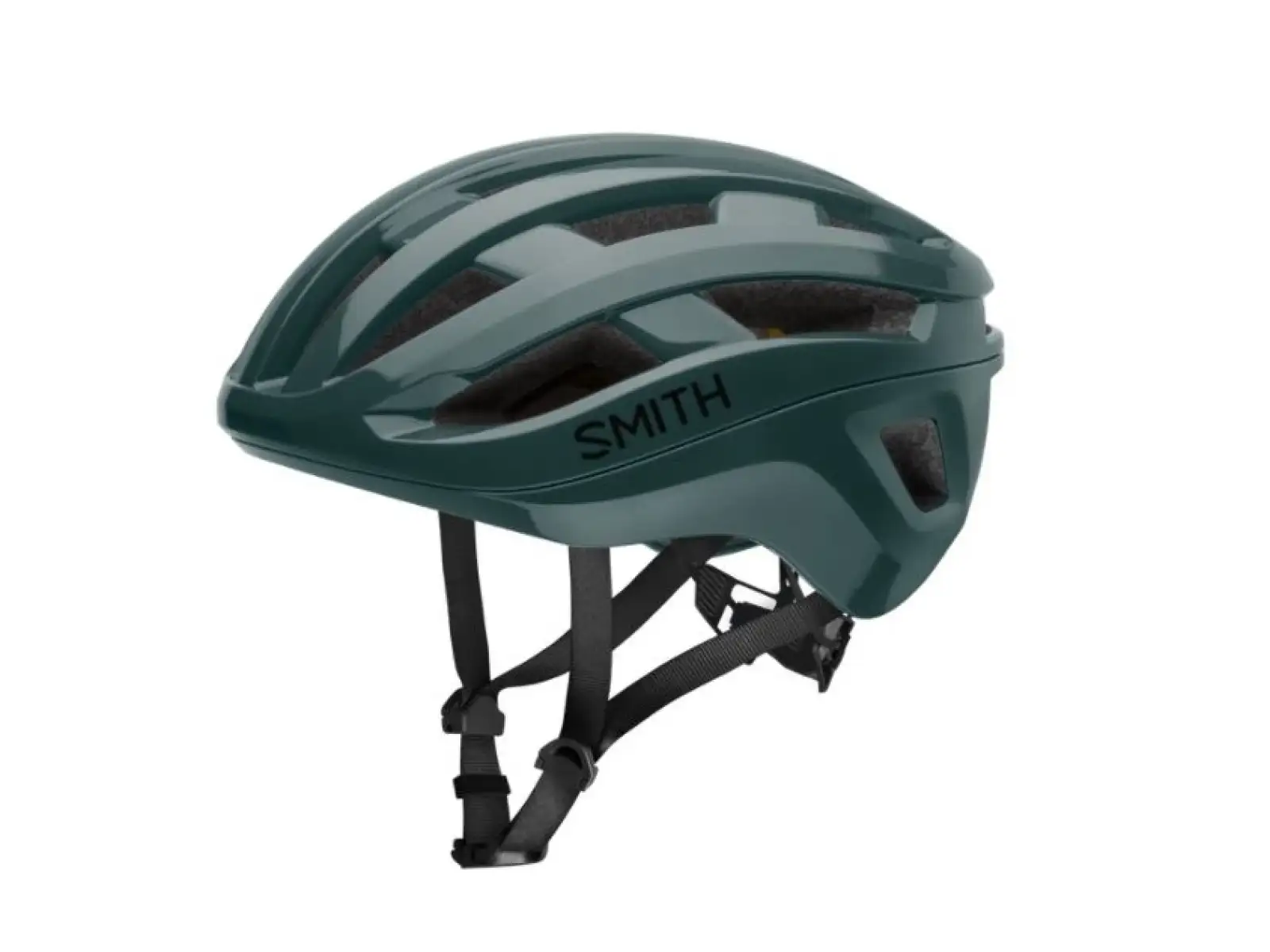 Smith Persist Mips Helm Spruce