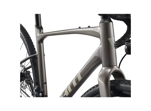 Giant Revolt 1 Gravel Fahrrad Pale Olive