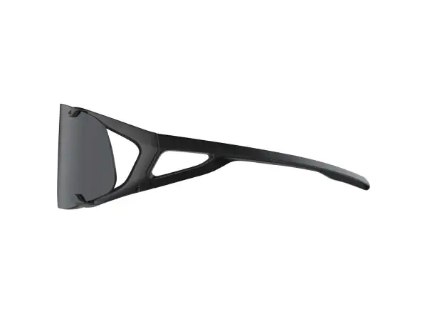Alpina Hawkeye Brille All Black Matt