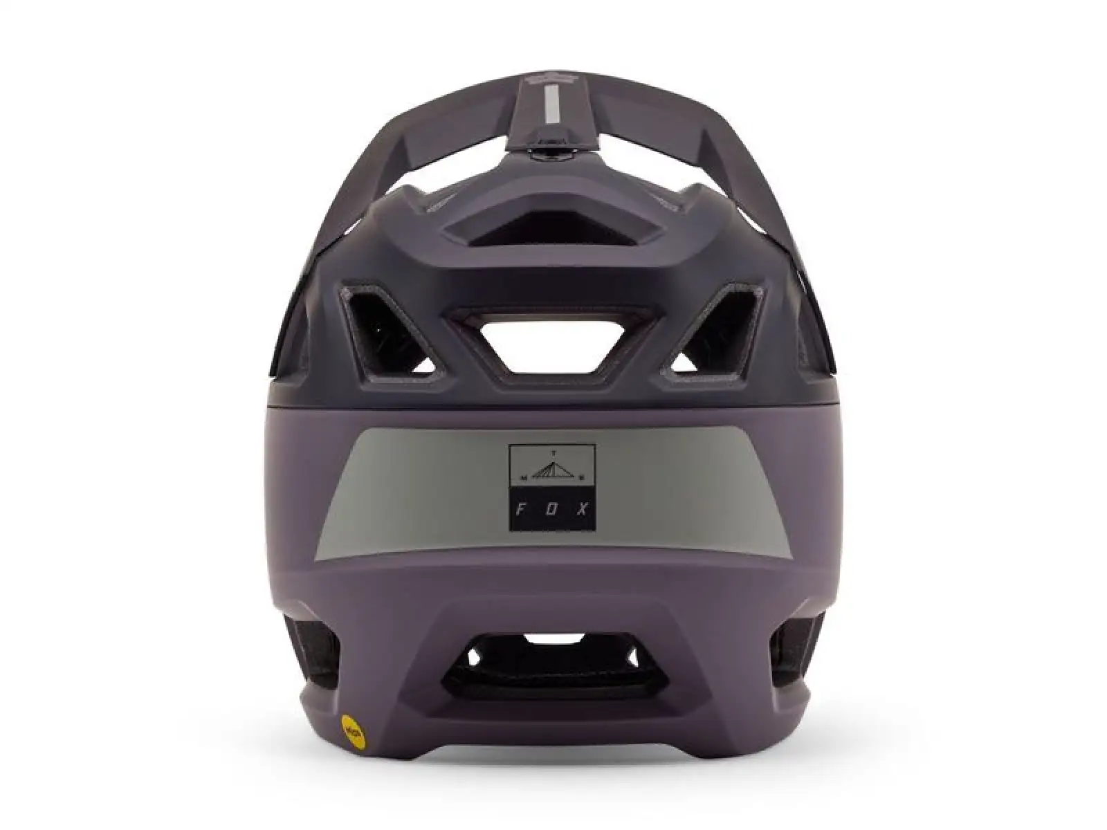 Fox Proframe Clyzo CE Helm Rauch
