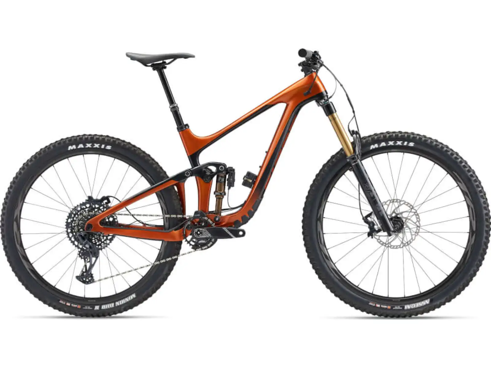 Giant Reign Advanced Pro 1 29 Mountainbike