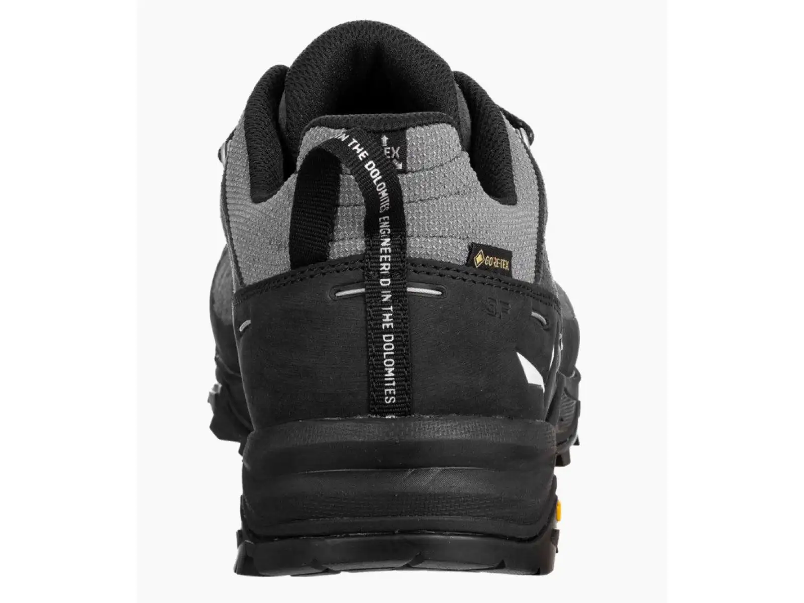 Salewa Alp Trainer 2 Gore-Tex Herrenschuhe Onyx Black