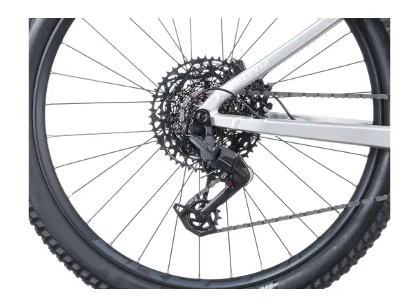 Crussis e-Fionna AX 10.12-M2(600) Mountain-E-Bike