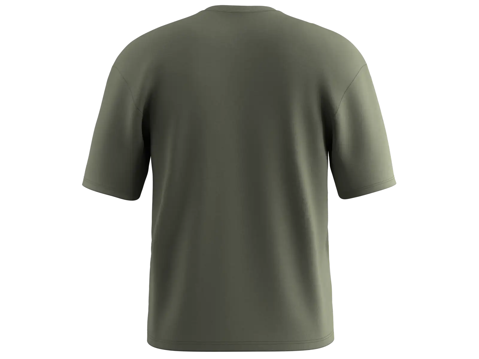 Salewa Eagle Outside Loose Herren T-Shirt Faded Green