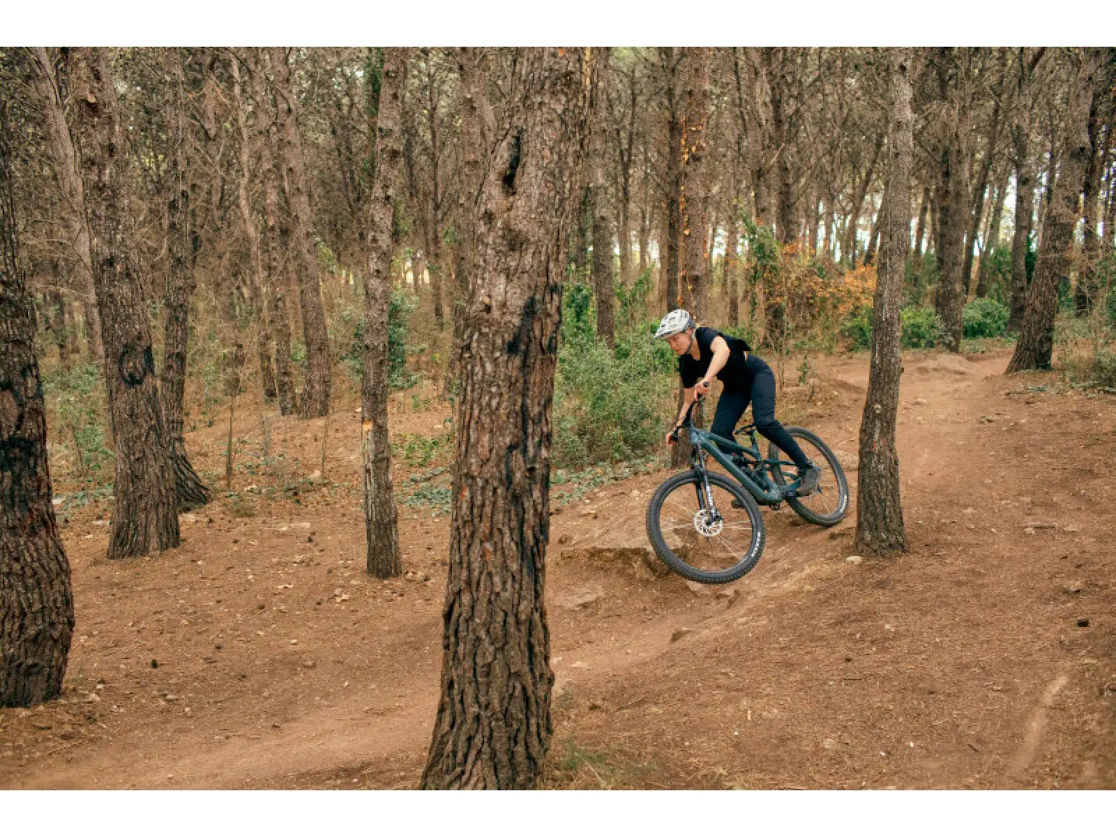 Cannondale Habit Carbon 2 BPL Mountainbike