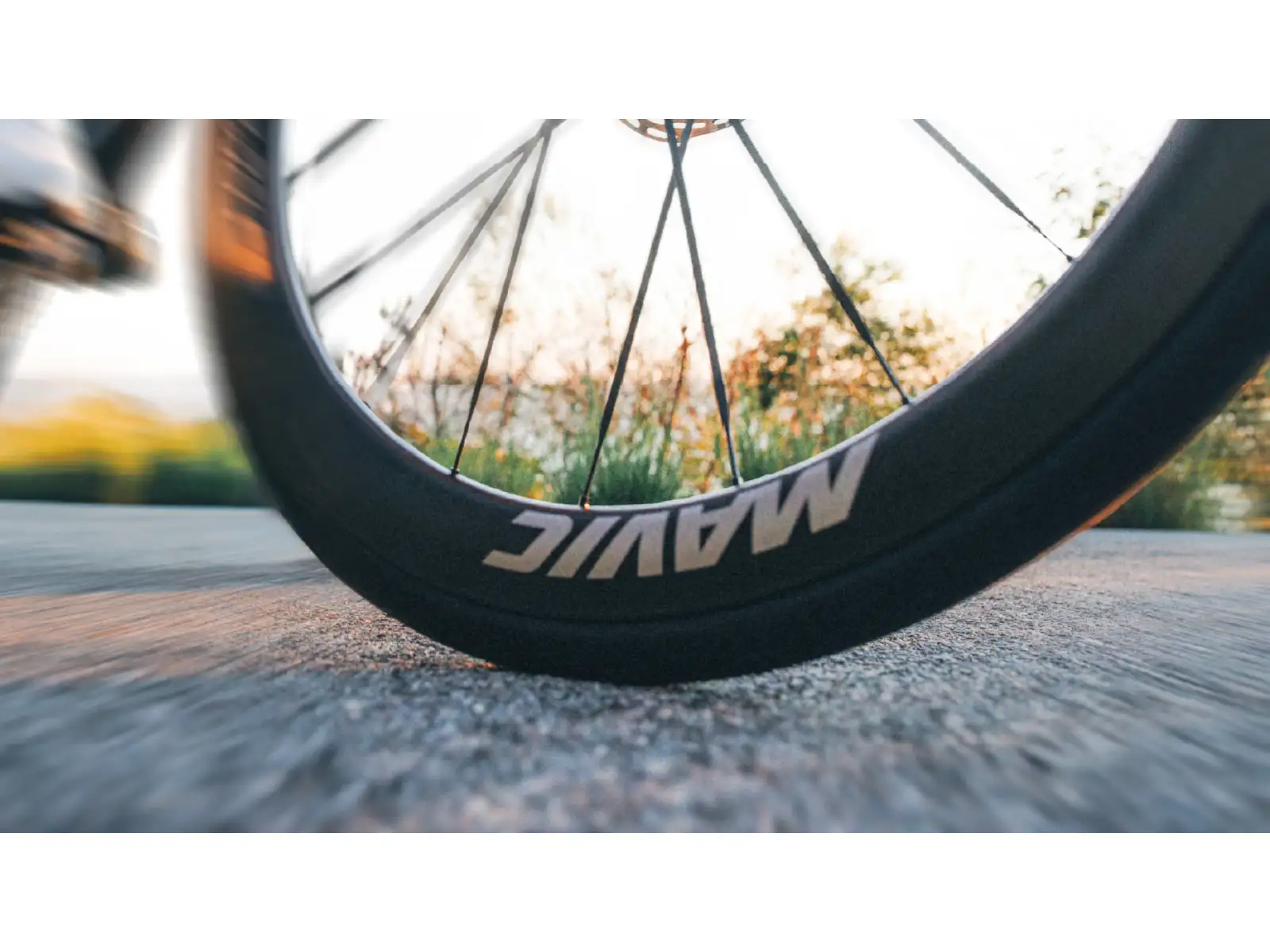 Mavic Comete 50 Disc CL Rennlaufräder Freilauf Shimano HG11