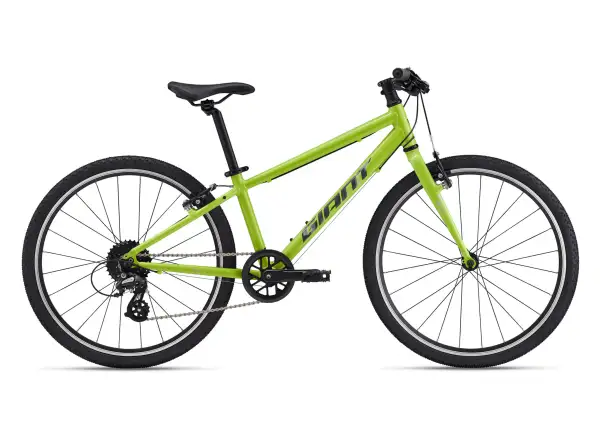 ARX 24 Lime Punch