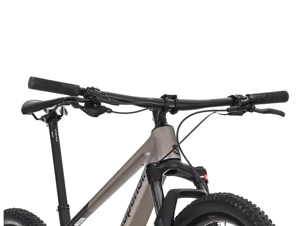 Superior XP 9.1 Mountainbike Matte Dark Chrome/Carbon