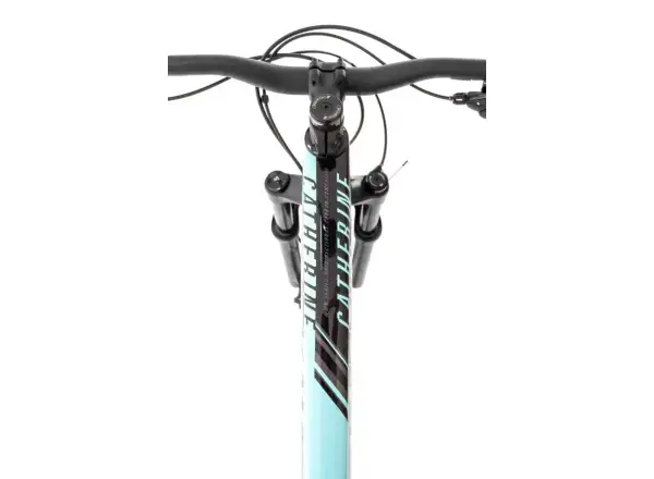 Mountainbike Rock Machine Catherine CRB 30-29 Glanz Hellminze
