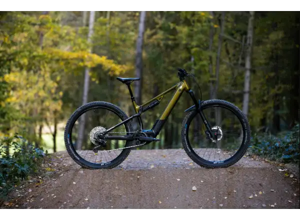 Superior eXF 9049 B vollgefedertes E-Bike Gloss Olive Mettalic/Schwarz