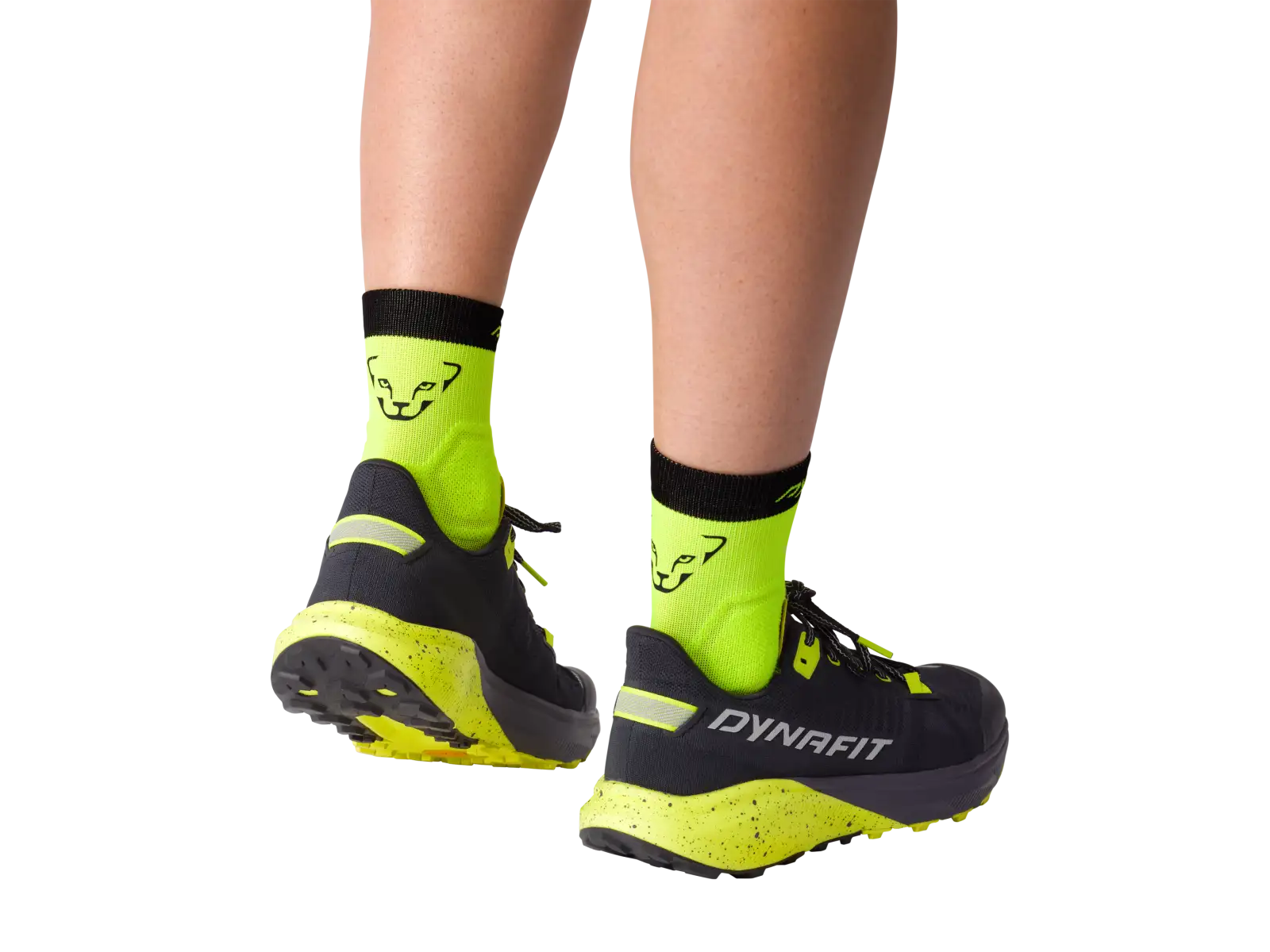 Dynafit Alpine kurze Laufsocken Storm Blue