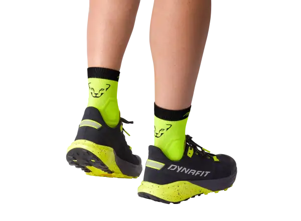Dynafit Alpine kurze Laufsocken Storm Blue