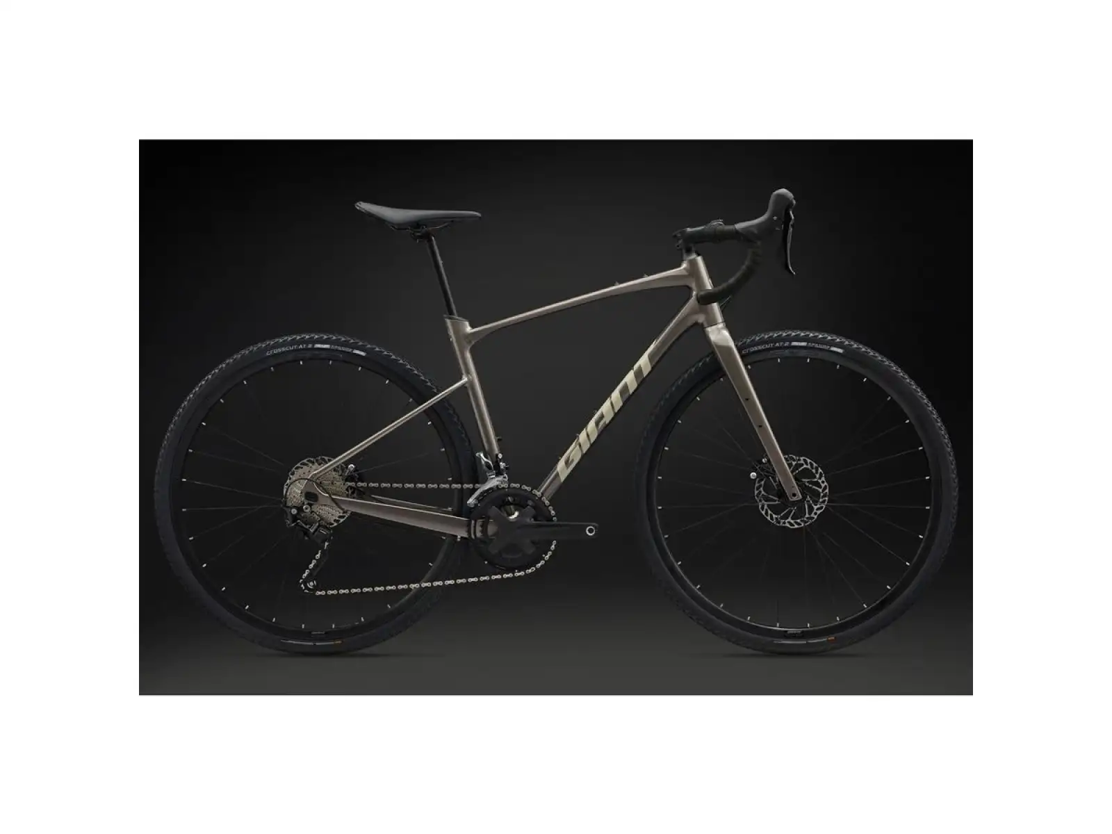 Giant Revolt 1 gravel Fahrrad Metal