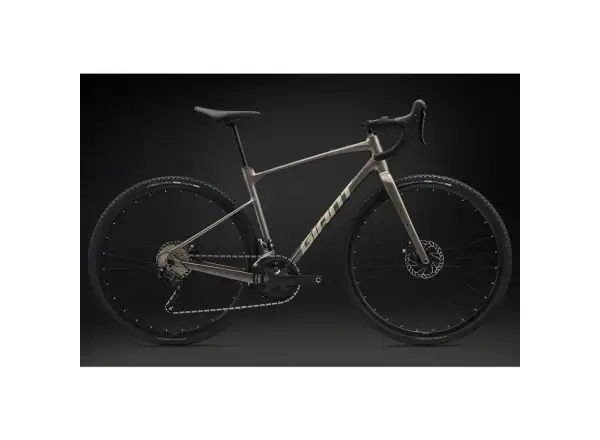 Giant Revolt 1 gravel Fahrrad Metal