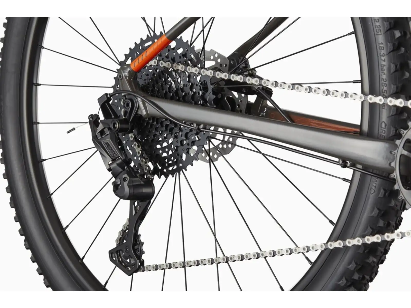 Cannondale Trail SL 4 29" ORG Mountainbike