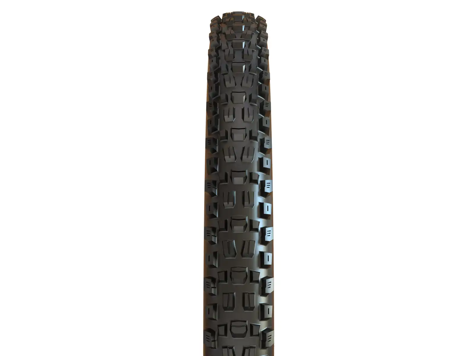 Maxxis Assegai 29x2.50" WT EXO TR Reifen mit Kevlar Tanwall