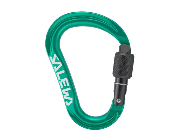 Salewa Ortles HMS Screw Karabiner M Irish Green