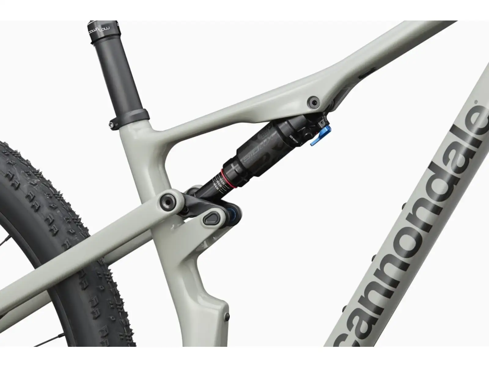 Cannondale Scalpel Carbon 3 Mountainbike Tiger Shark