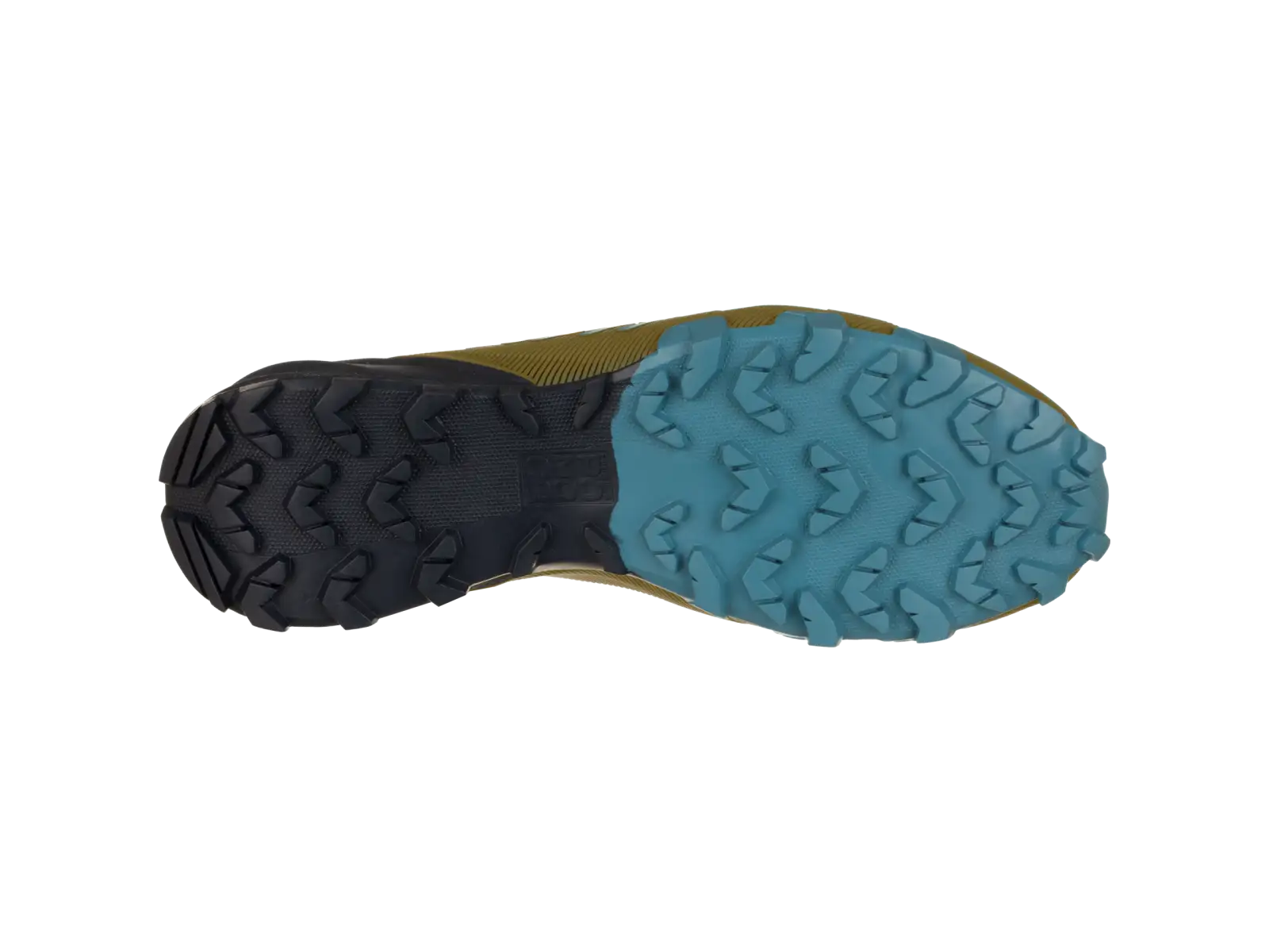 Dynafit Traverse Herrenschuhe Army/Blueberry
