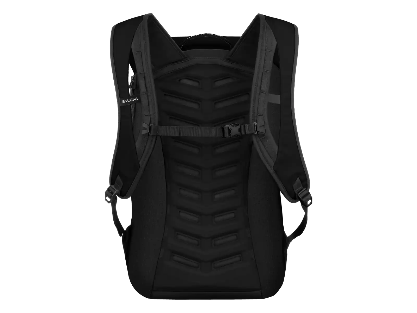 Salewa Fanes 24 l Rucksack Black Out