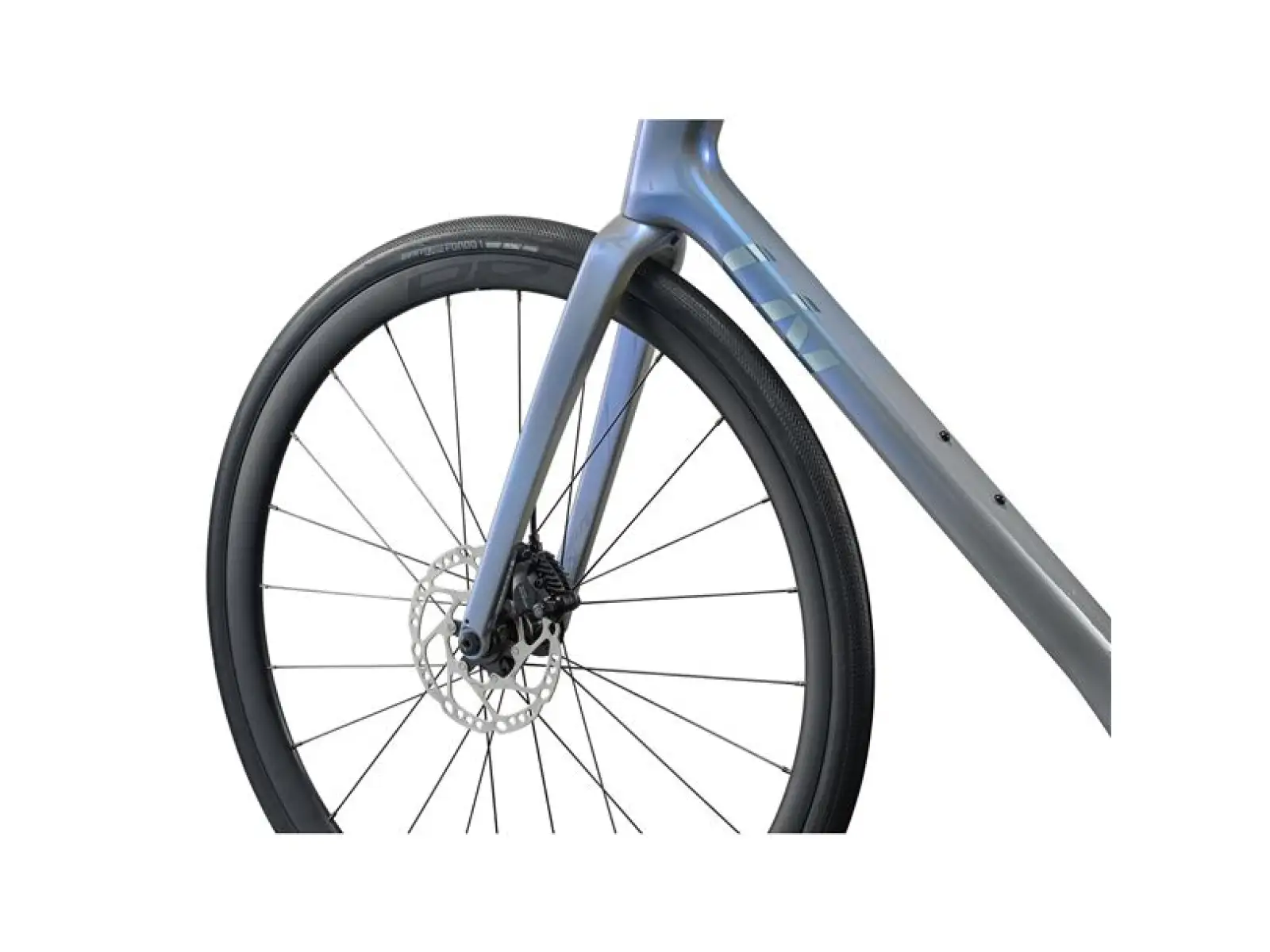 Liv Avail Advanced 2 Rennrad Moonstone/Gray