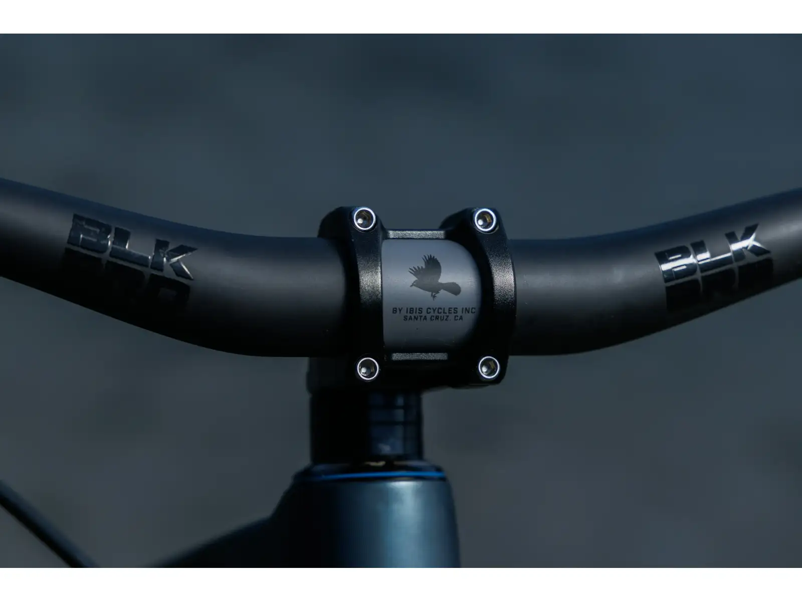 Ibis Ripley V5 XT Di2 Mountainbike Blue Hour