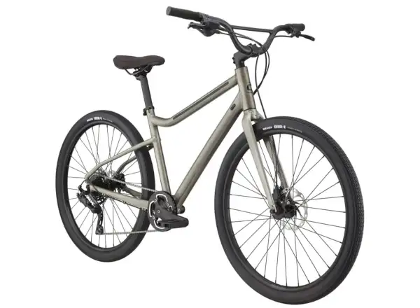 Cannondale Treadwell 2 Ltd RAW Fitnessbike