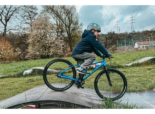 Rascal 24 7 mit Shimano Nexus Kinderfahrrad Himbeere