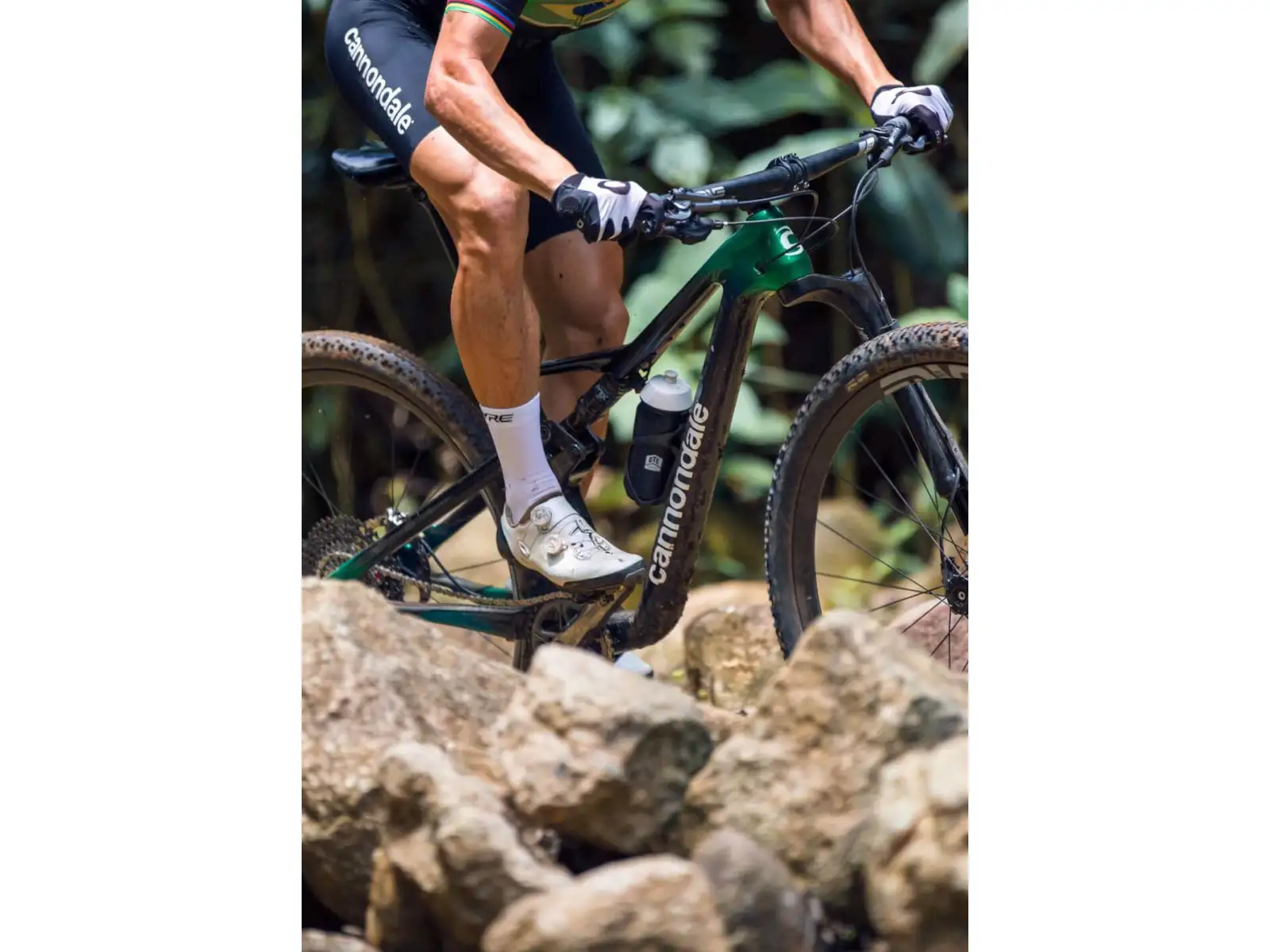 Cannondale Scalpel Carbon 4 29" JNG Mountainbike