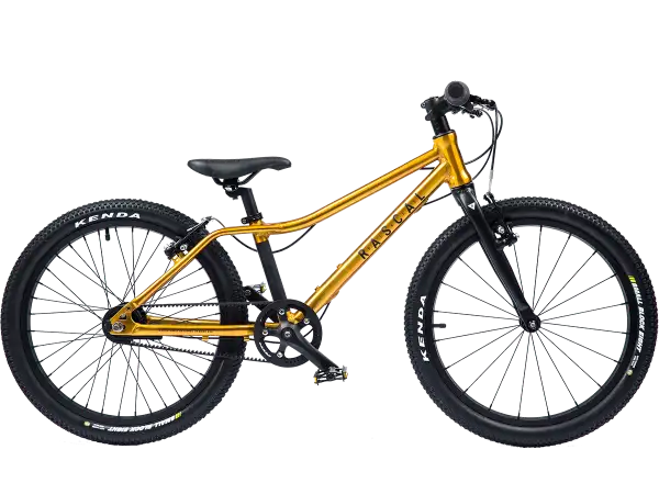 Rascal 20 Kinderfahrrad Gold