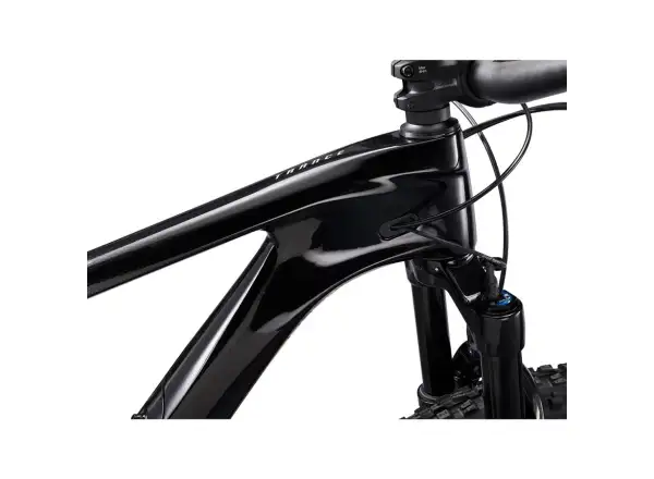 Giant Trance Advanced Pro 29 1 Bergfahrrad Carbon/Schwarz Diamant