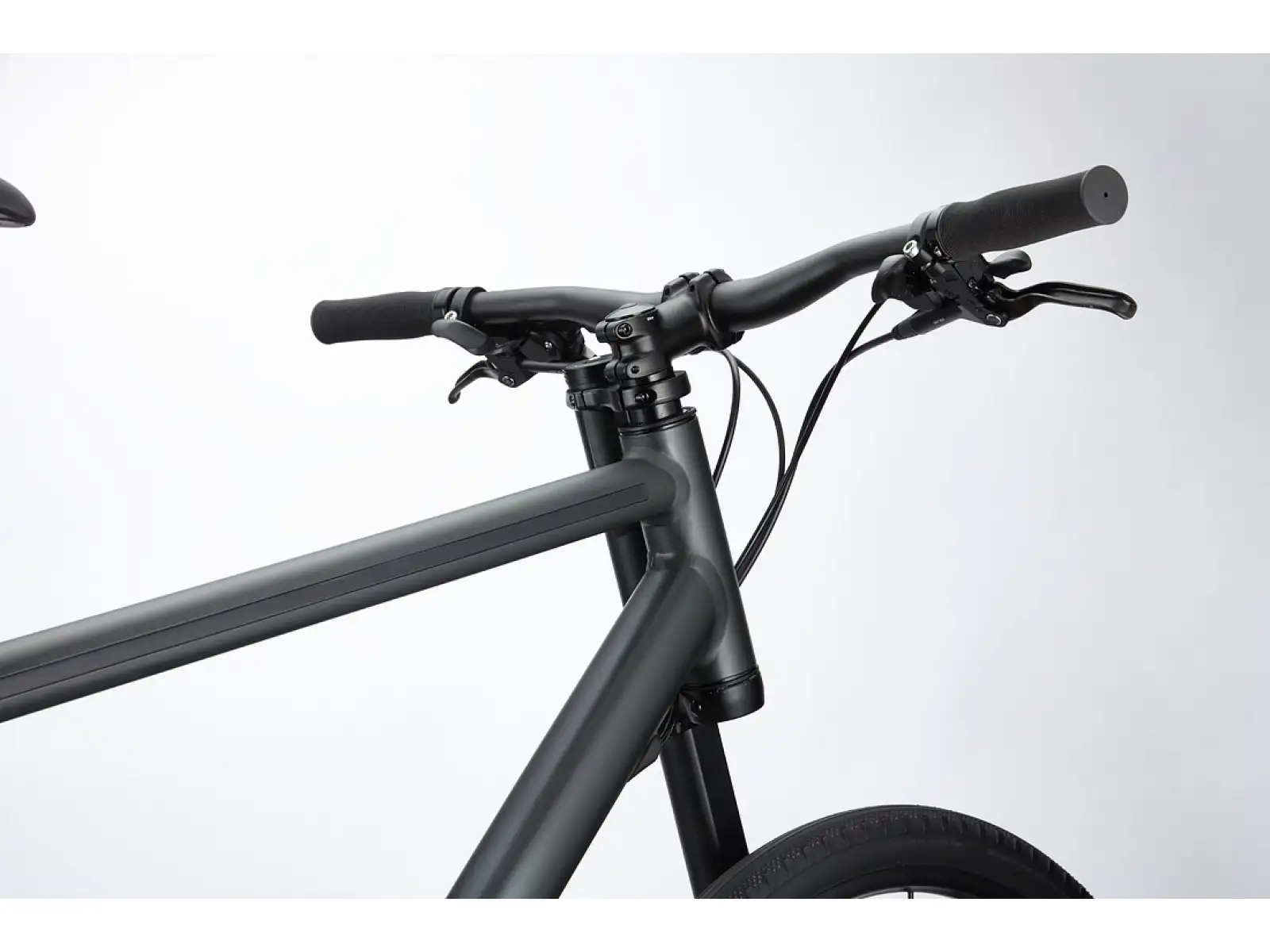 Cannondale Bad Boy 2 BBQ Urbanbike